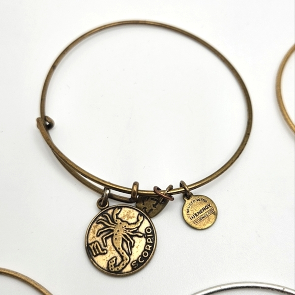 ๐๏ธ FREE ADD ON ALEX & ANI Bracelet Choice - Picture 5 of 7